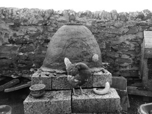 papa westray